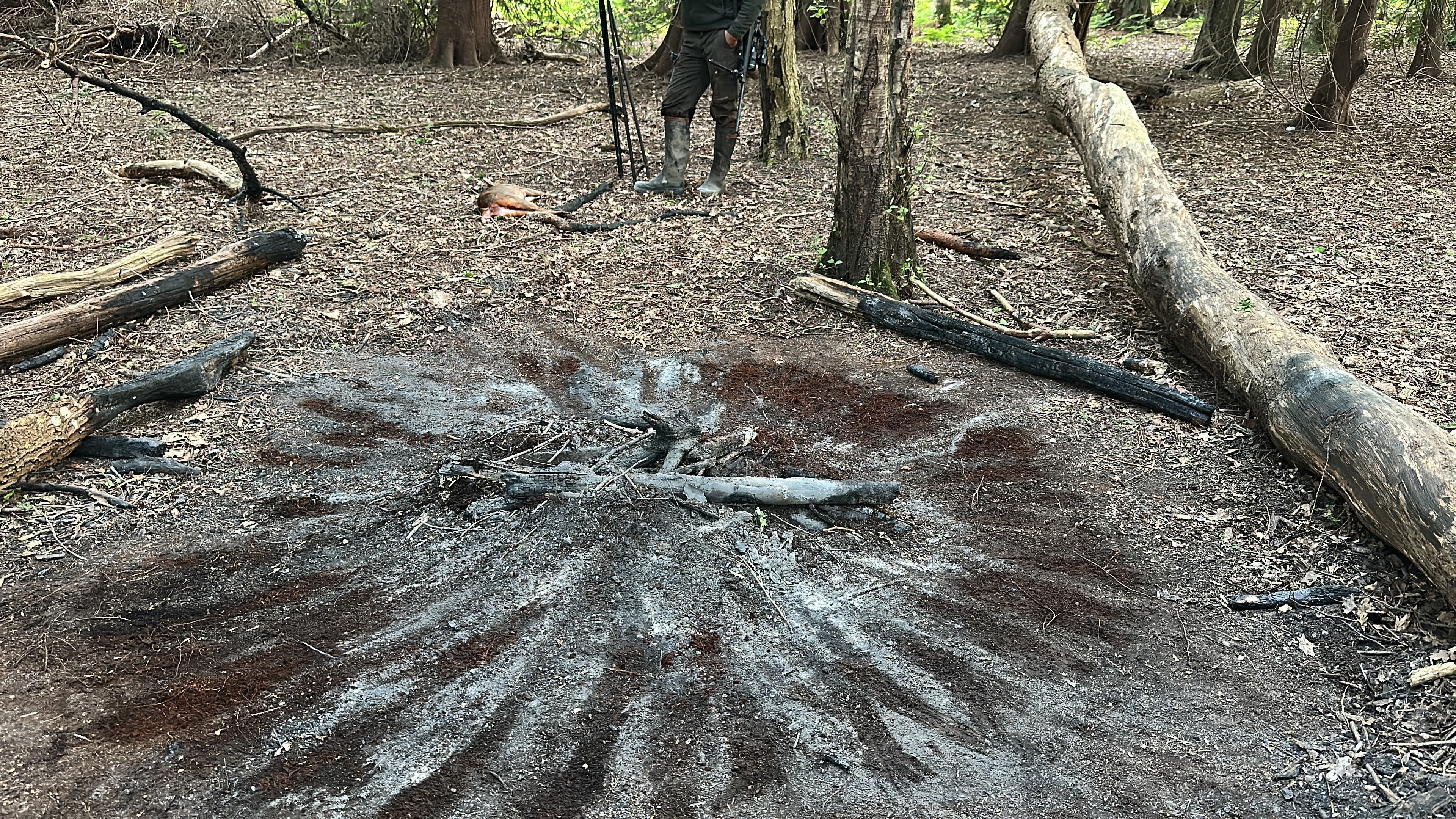 When Deer Management Starts Looking Like Site Security