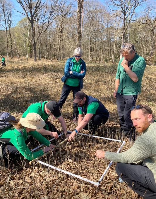 The Biggest Threat to Native Woodland in the South East Isn’t Climate Change. It’s Deer