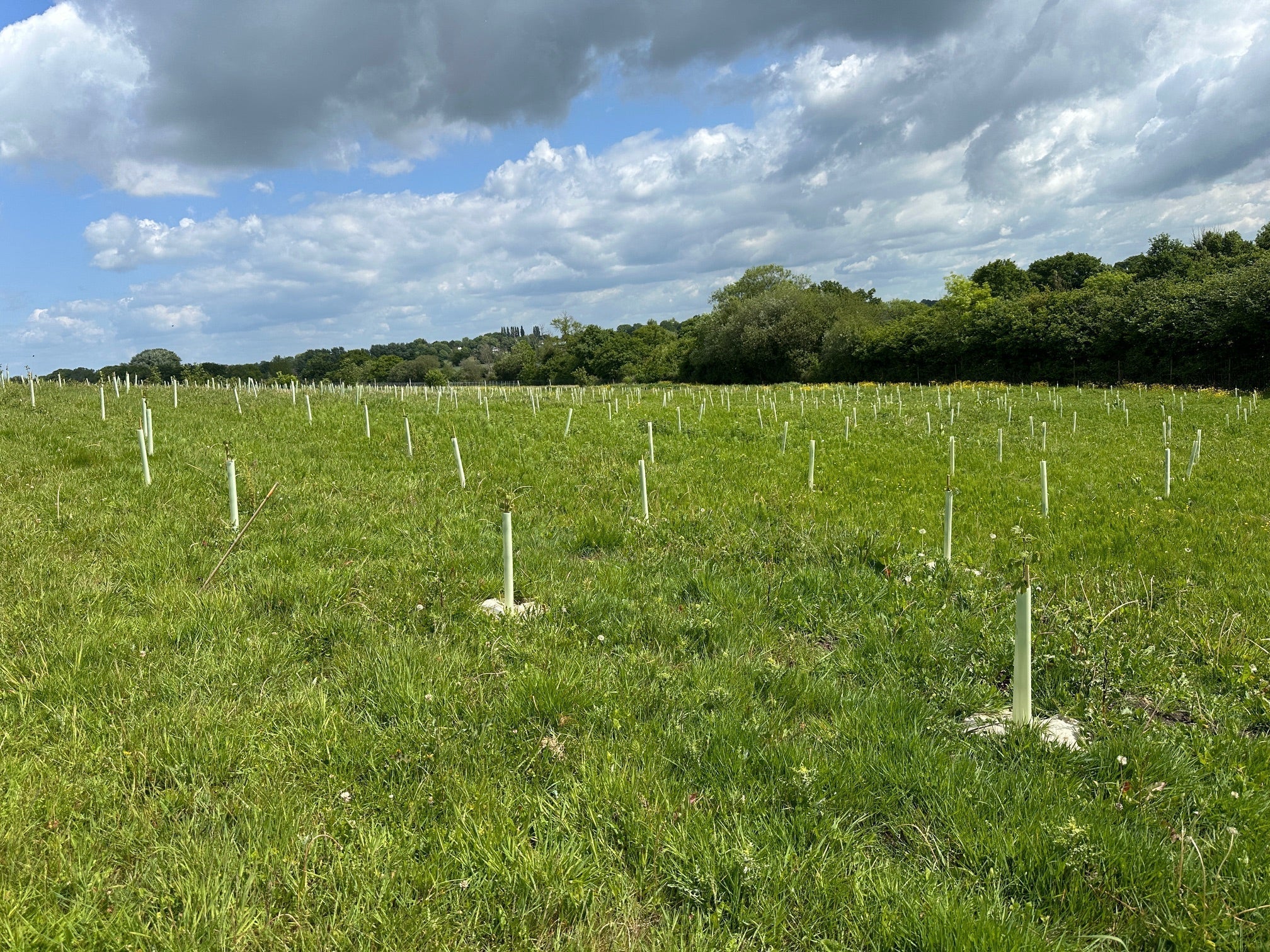 Working Together: The Only Viable Path for Deer Management in the South East