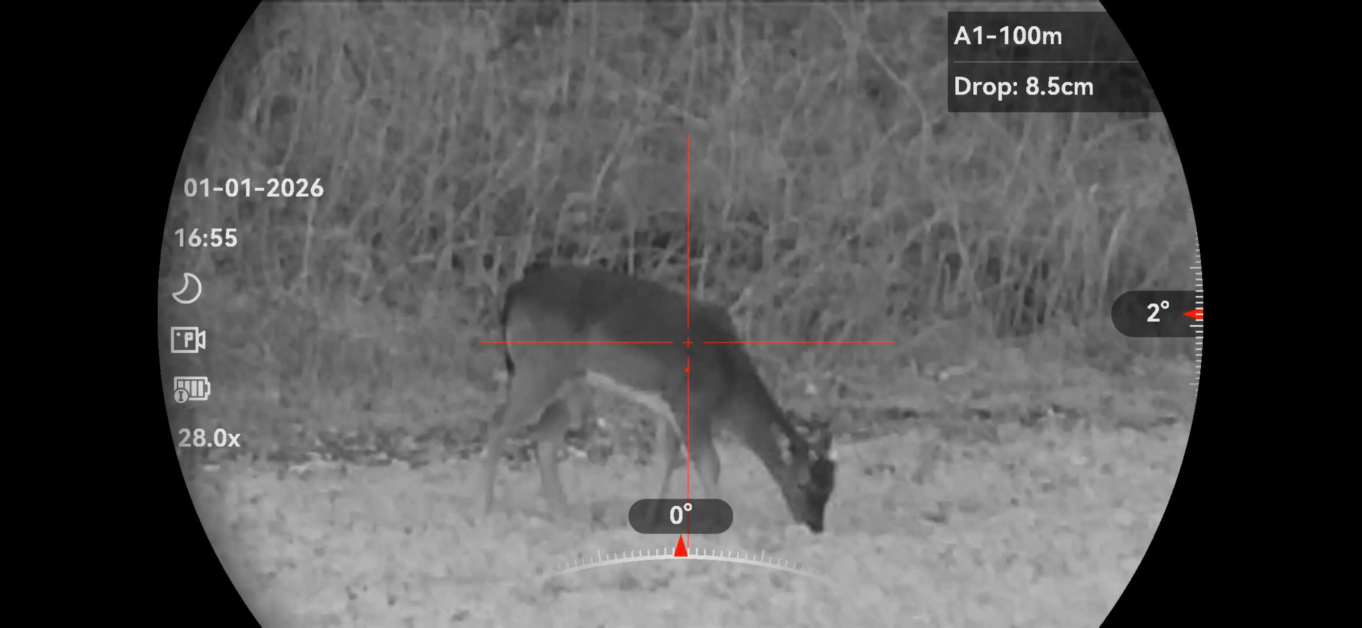 Why a Spotter Matters: Night Work Under Natural England Deer Licence
