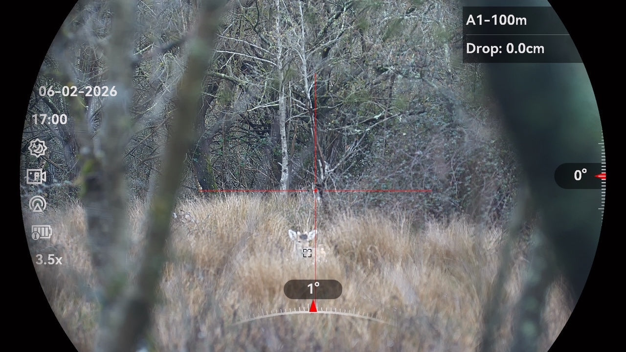 Head Shooting Deer: Why the Chest Shot Still Defines Professional Practice