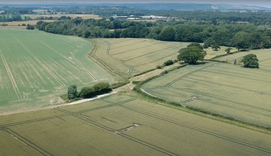Integrating Drone Technology in Deer Management