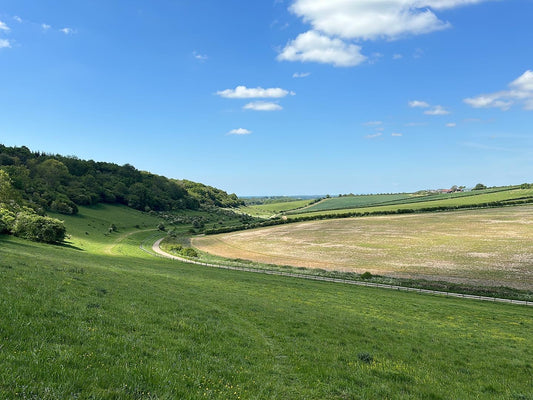 Land Management Objectives in the South East