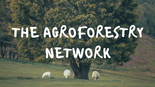 From Fencing to Forage: Deer Management in New Agroforestry Systems