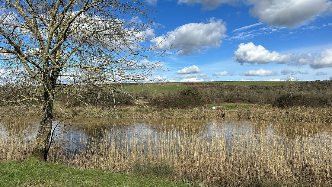 The Integral Role of Deer Managers in Woodland Creation and Management