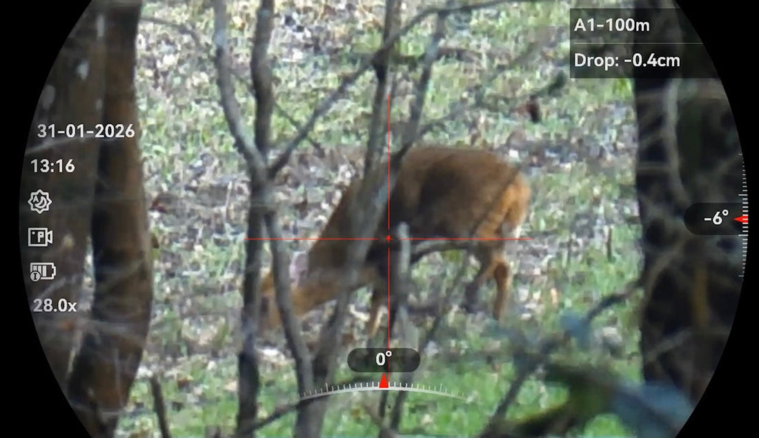 The £5 Muntjac: The Quiet Economics of Deer Management That Nobody Likes to Price Up