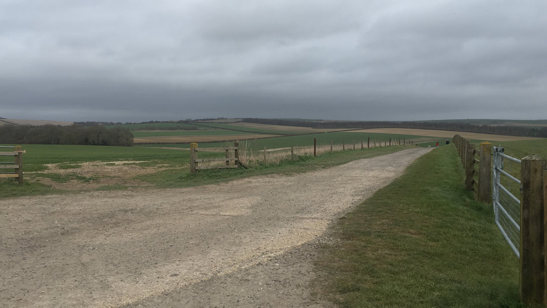 The Revival of Hedgerows in Southern England: Enhancing Biodiversity and Managing Deer Populations