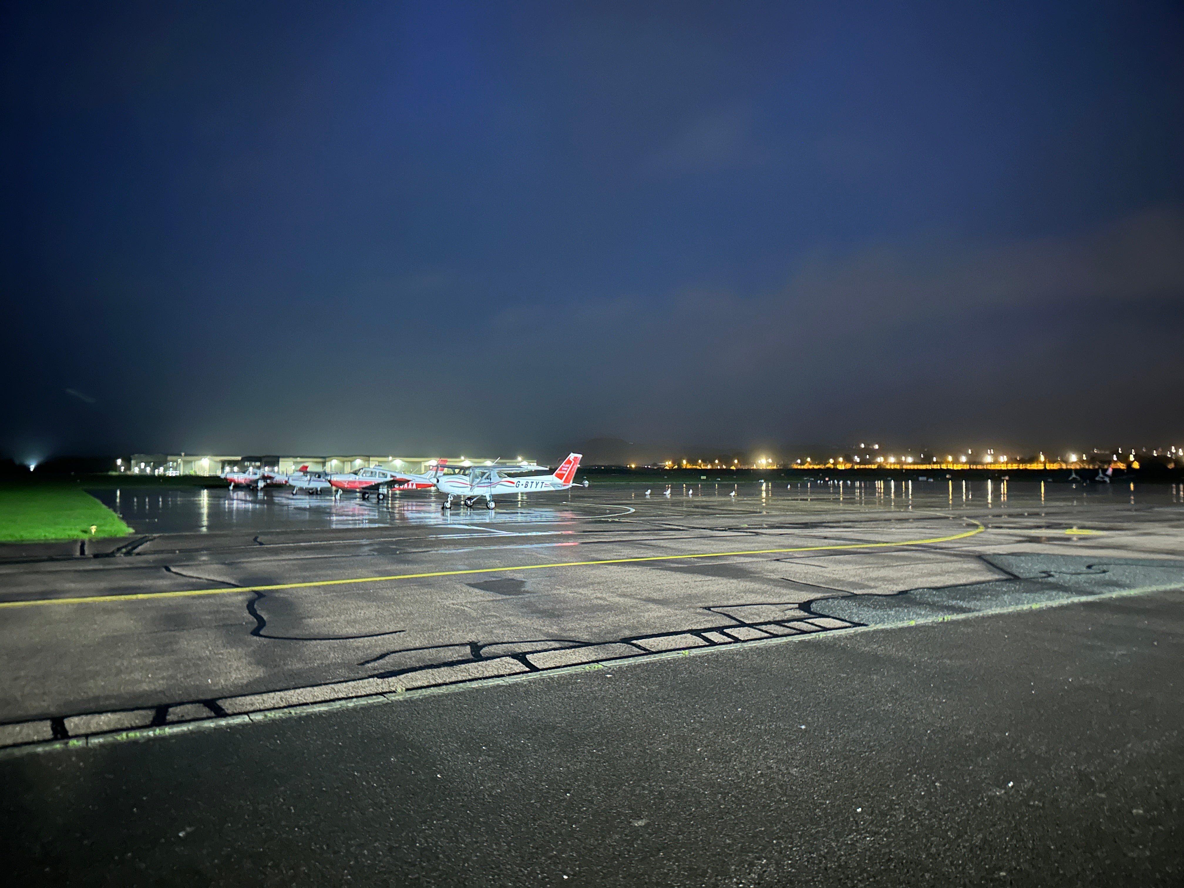 Managing Deer on Aerodromes: Challenges and Strategies