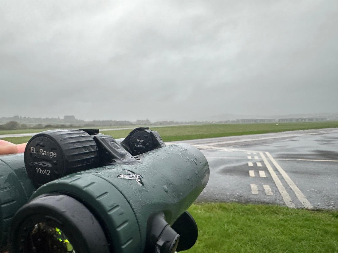 Mammal Management on Airports and Aerodromes