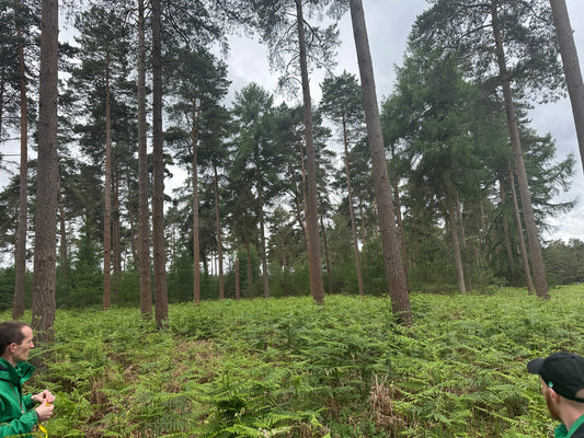 Learning from the Field and Visiting Euston Estate