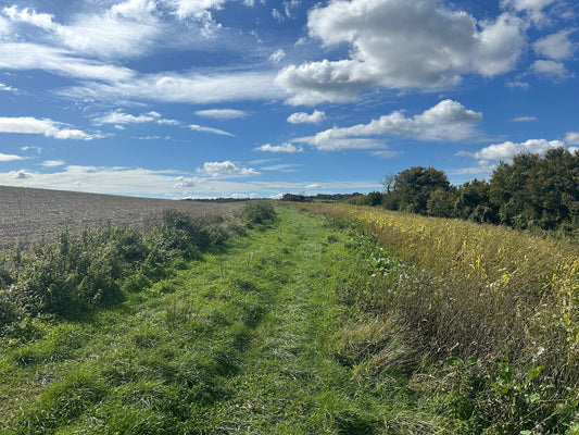 The True Cost of Deer Management on a 10,000 ha Estate