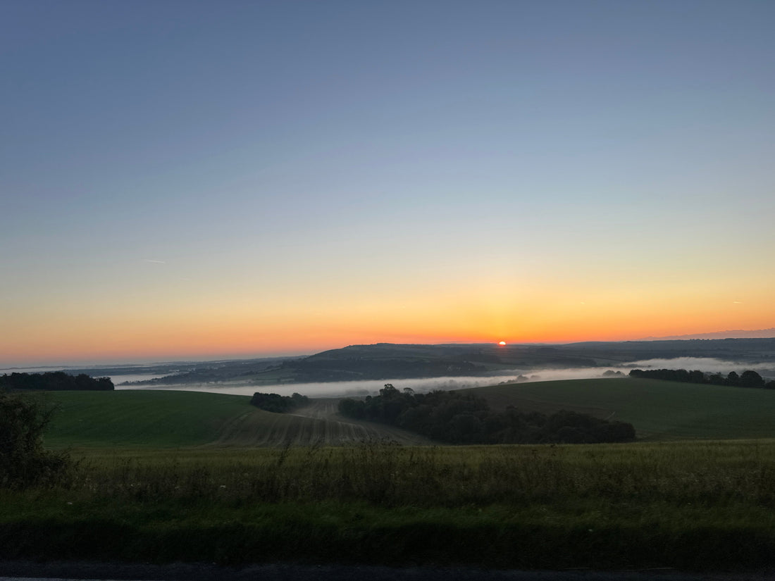 Professional Deer Management in Sussex - Supporting Sustainable Woodlands, Farming, and Biodiversity