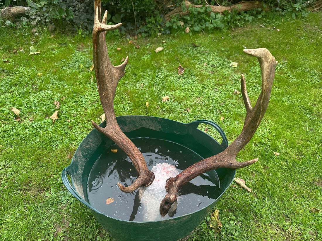 Knowing When It’s Time: The Art of Managing the Mature Buck