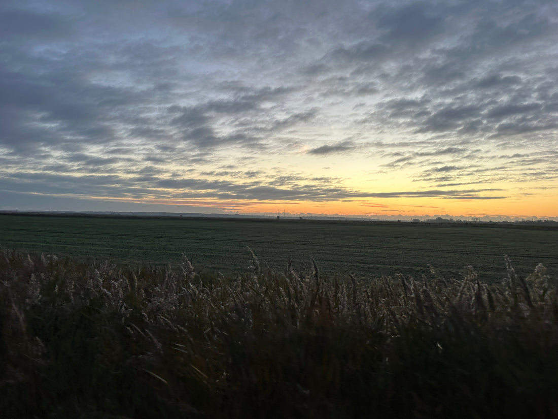 A Visit to Raveningham Estate - Deer Management