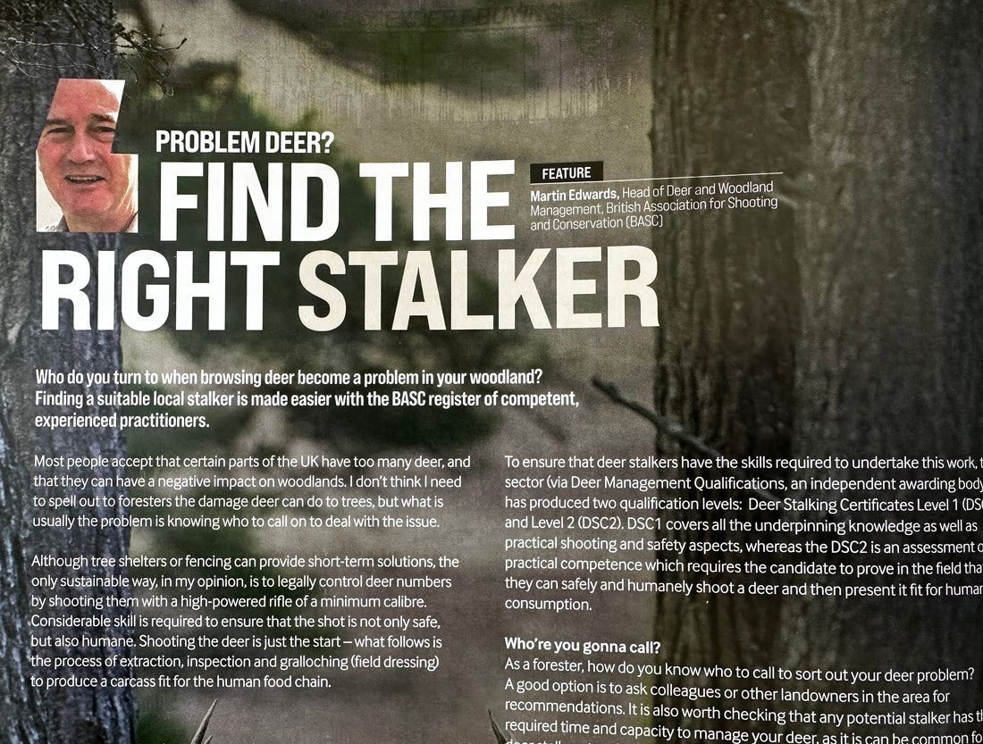 Finding The Right Stalker Is Only Half The Story: CWS1, Hours On The Ground And What We Really Owe The Public Purse