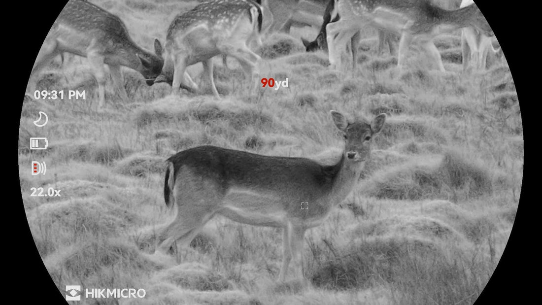 Hikmicro Habrok 4K 2.0 HE25L: Honest Field Test Review