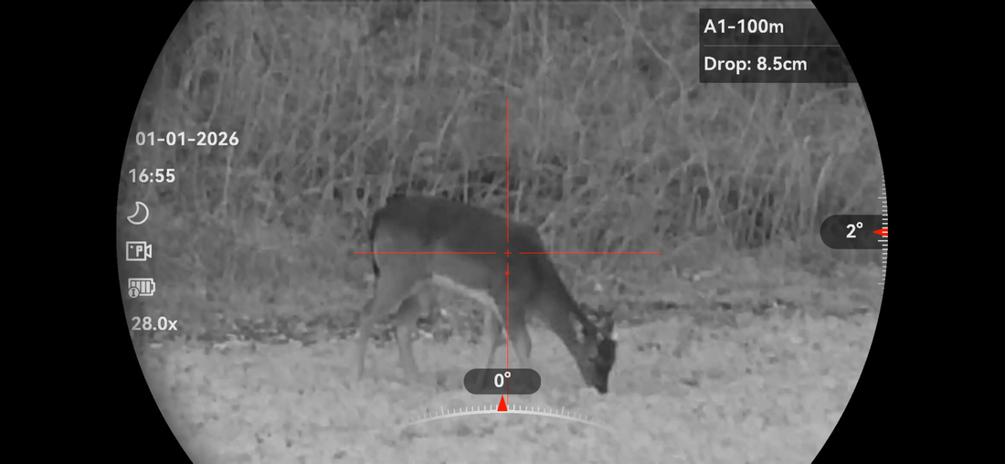 Why a Spotter Matters: Night Work Under Natural England Deer Licence