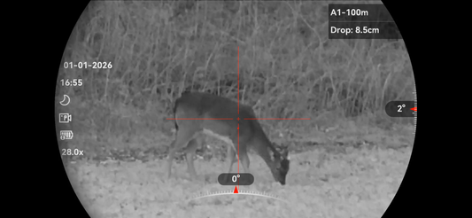 Why a Spotter Matters: Night Work Under Natural England Deer Licence