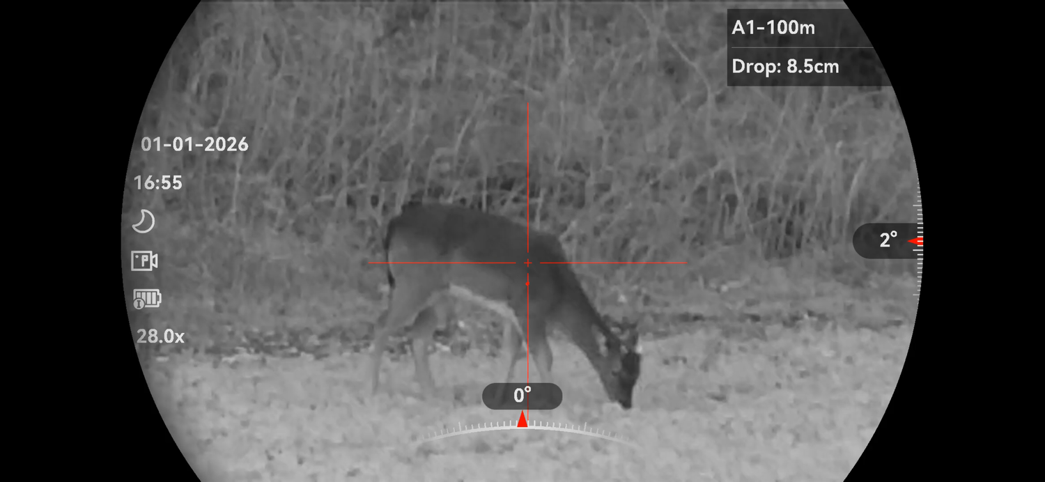 Why a Spotter Matters: Night Work Under Natural England Deer Licence