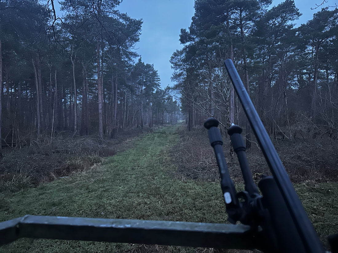 Collaboration with Neighbouring Estates for Deer Management