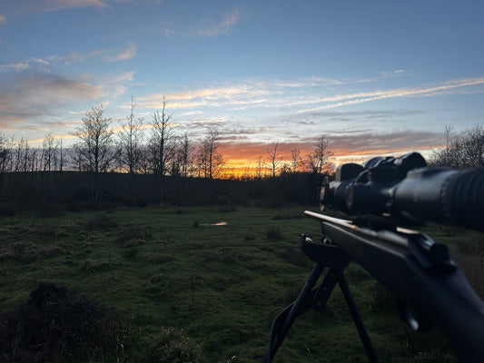 Why Time Out Matters, and What the Countryside Still Gives Back