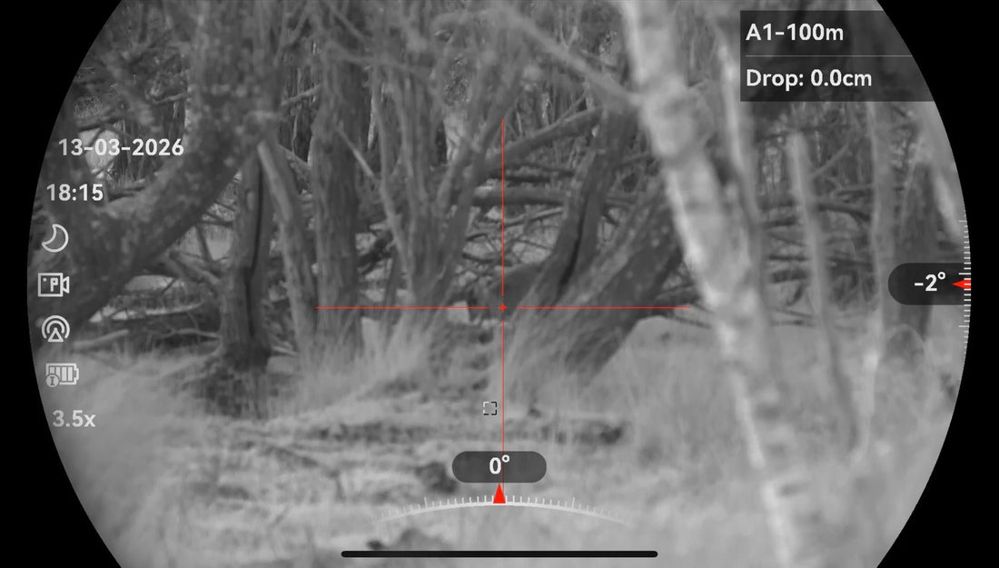 Muntjac in Sussex: The Deer You Don’t See Can Still Ruin a Woodland