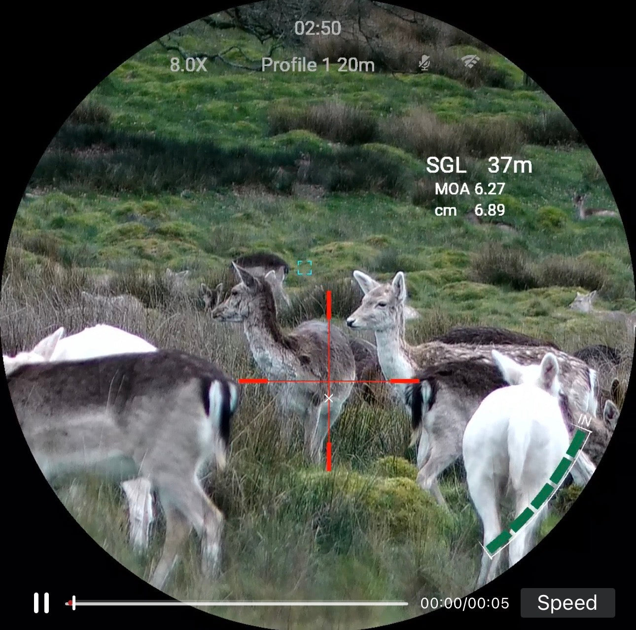 Nocpix NITE D70R Prototype Review - Field Test