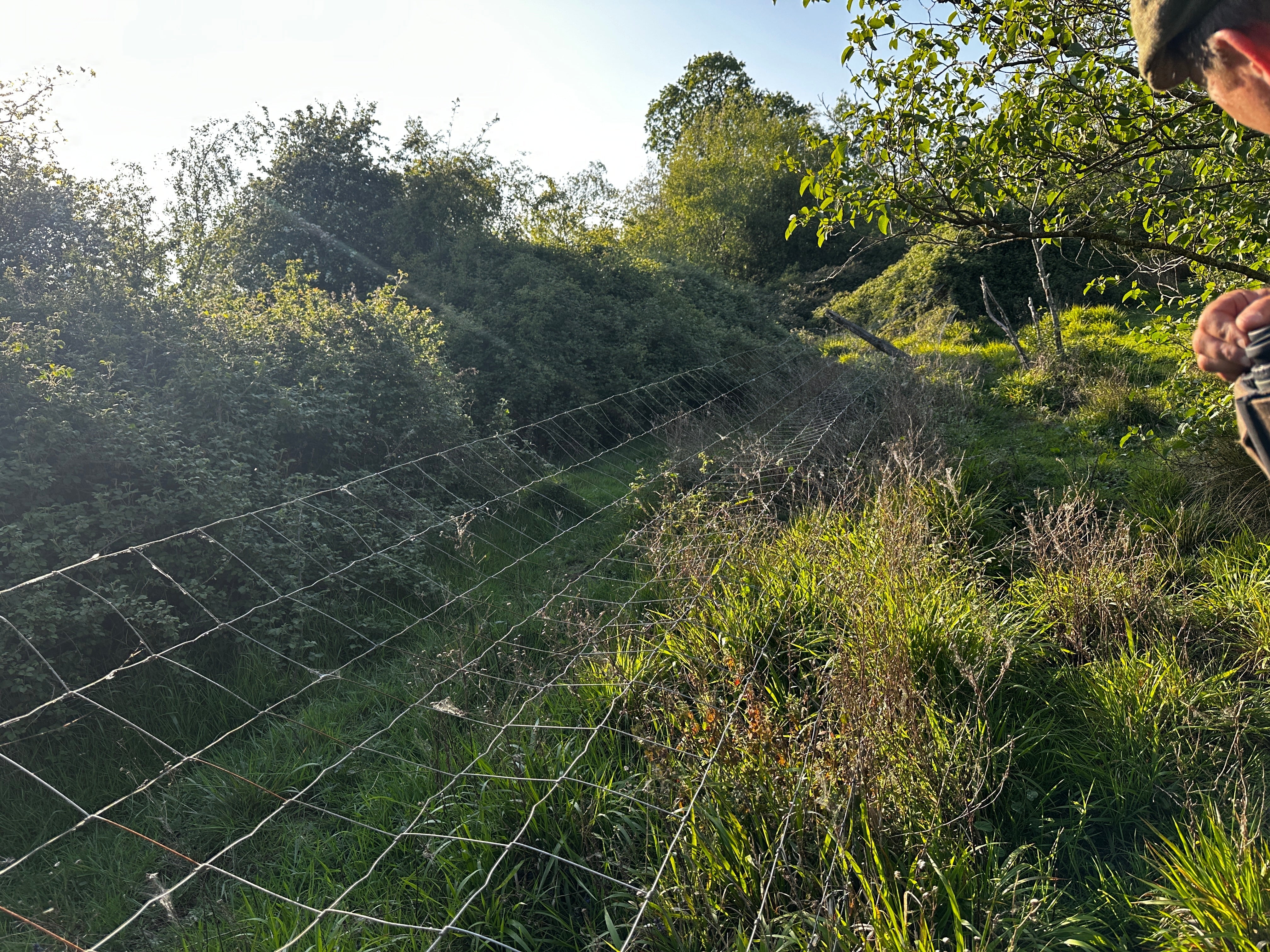 Deer Fencing Is Only as Good as the Thinking Behind It