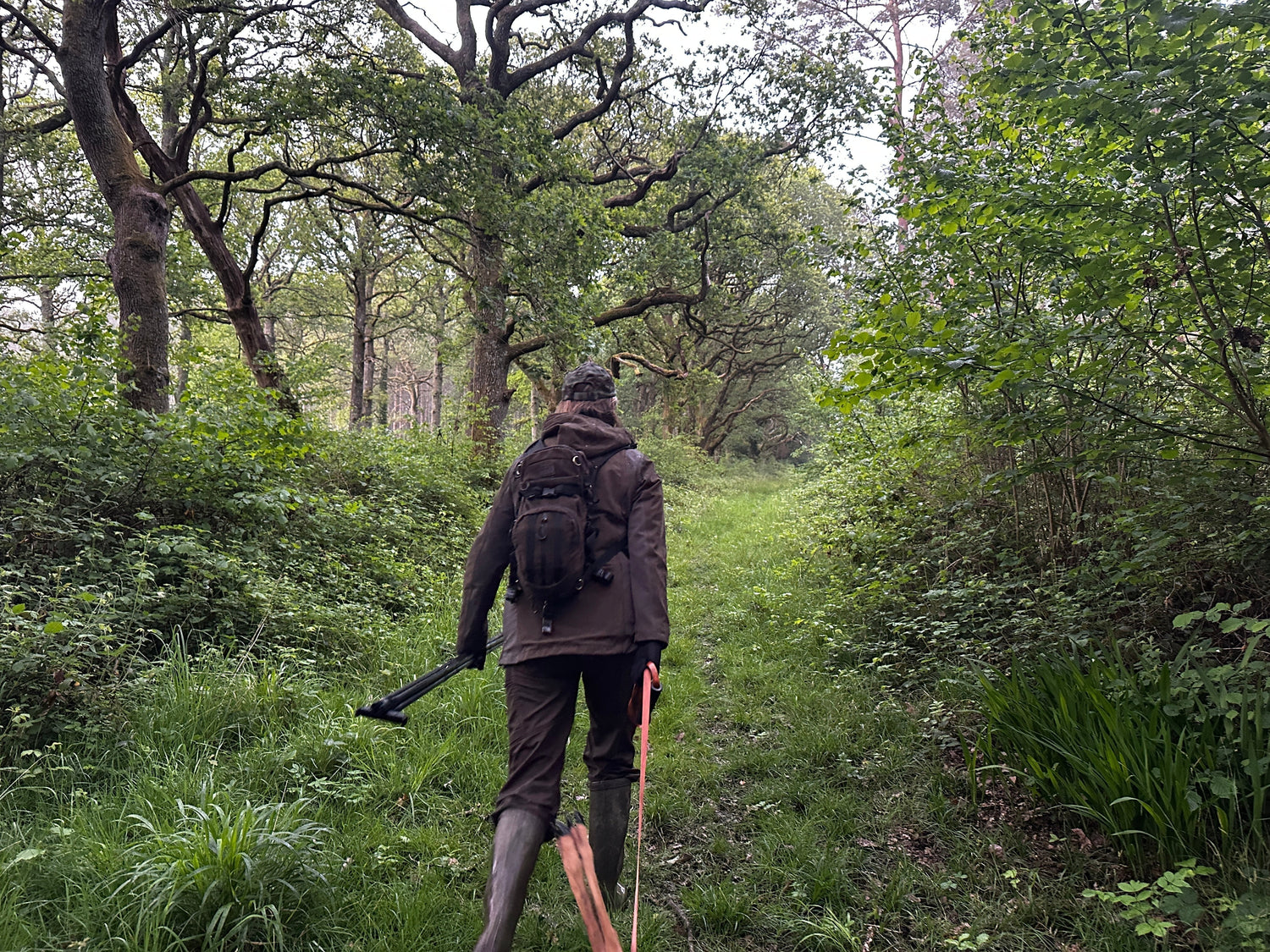 Ten Years of Change: What Seasonal Recovery Looks Like After Deer Management