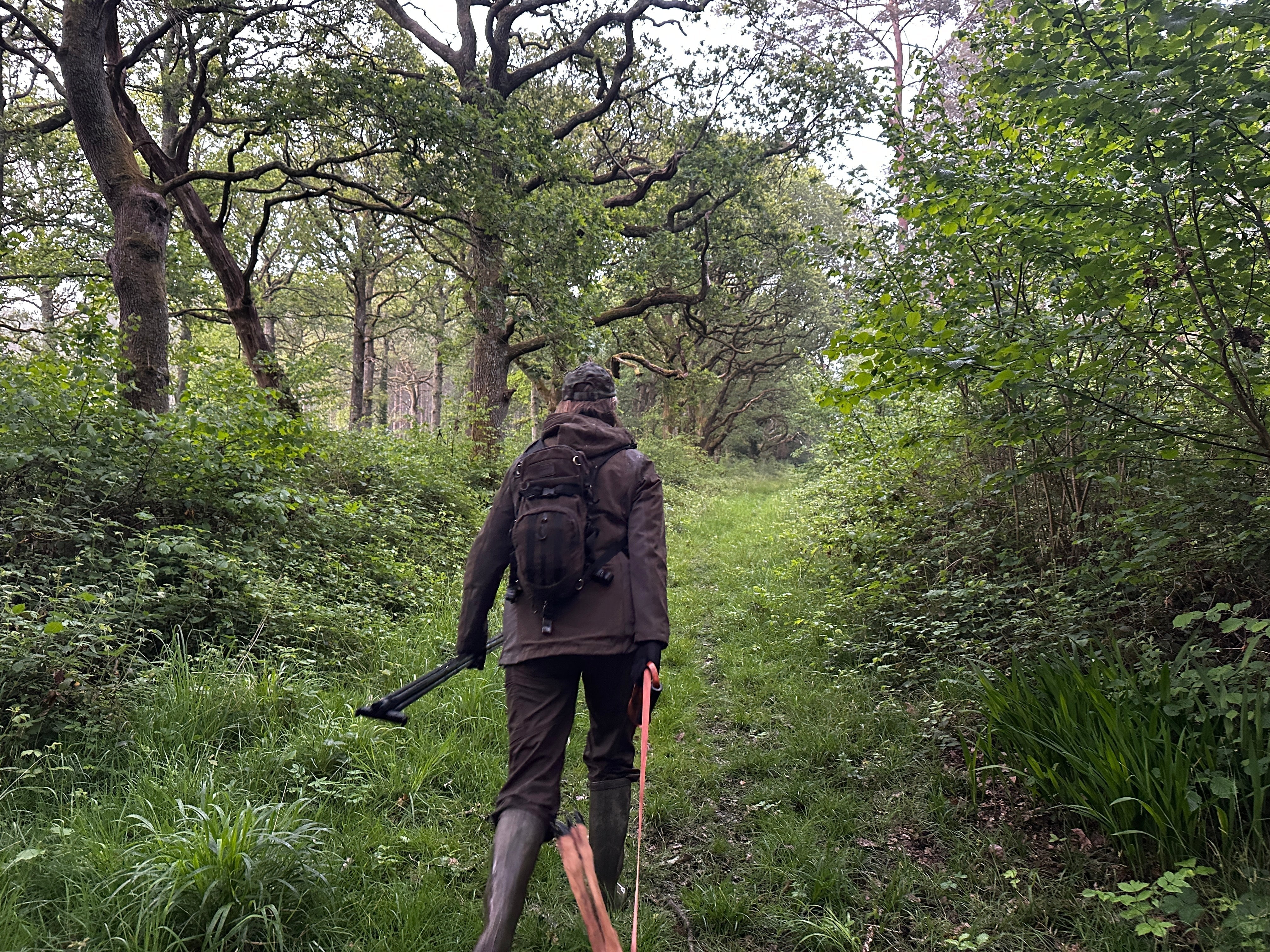 Ten Years of Change: What Seasonal Recovery Looks Like After Deer Management