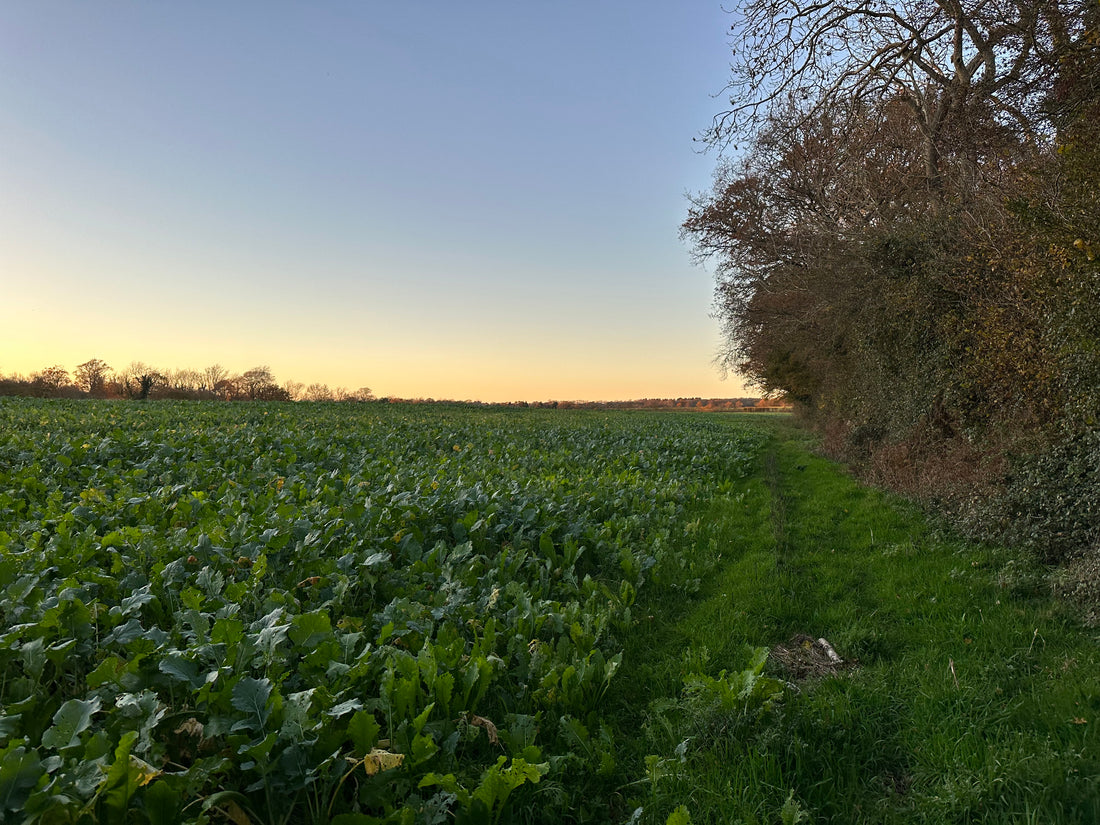 Wildlife Corridors in Land Management - Deer Movements