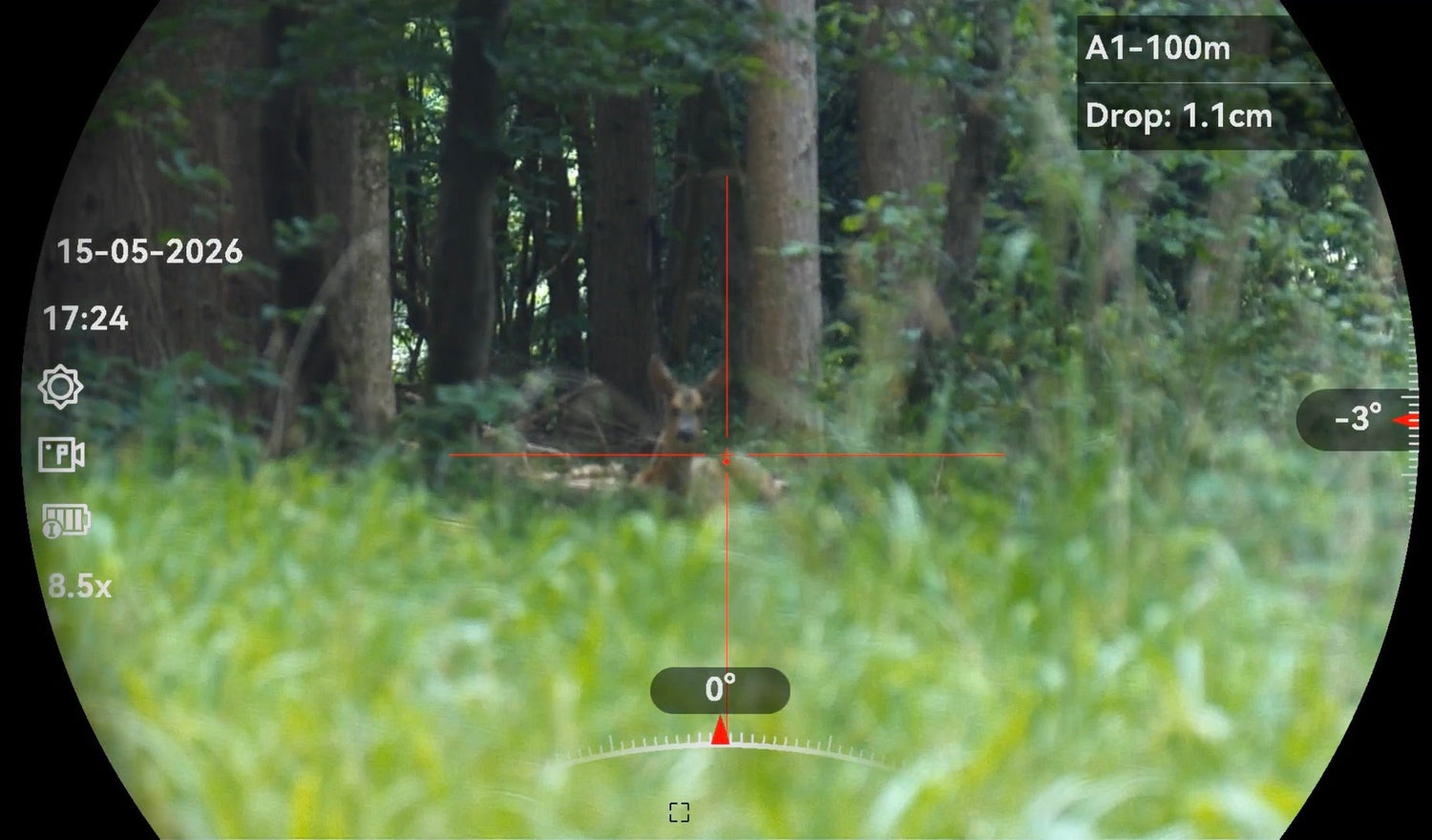 The Deer Policy Has Changed, But the Woodland Still Has to Recover
