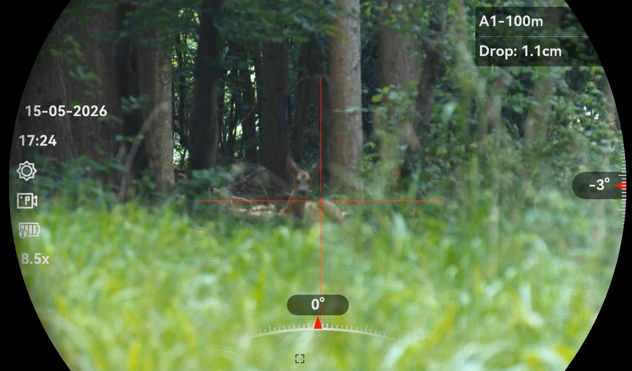 The Deer Policy Has Changed, But the Woodland Still Has to Recover