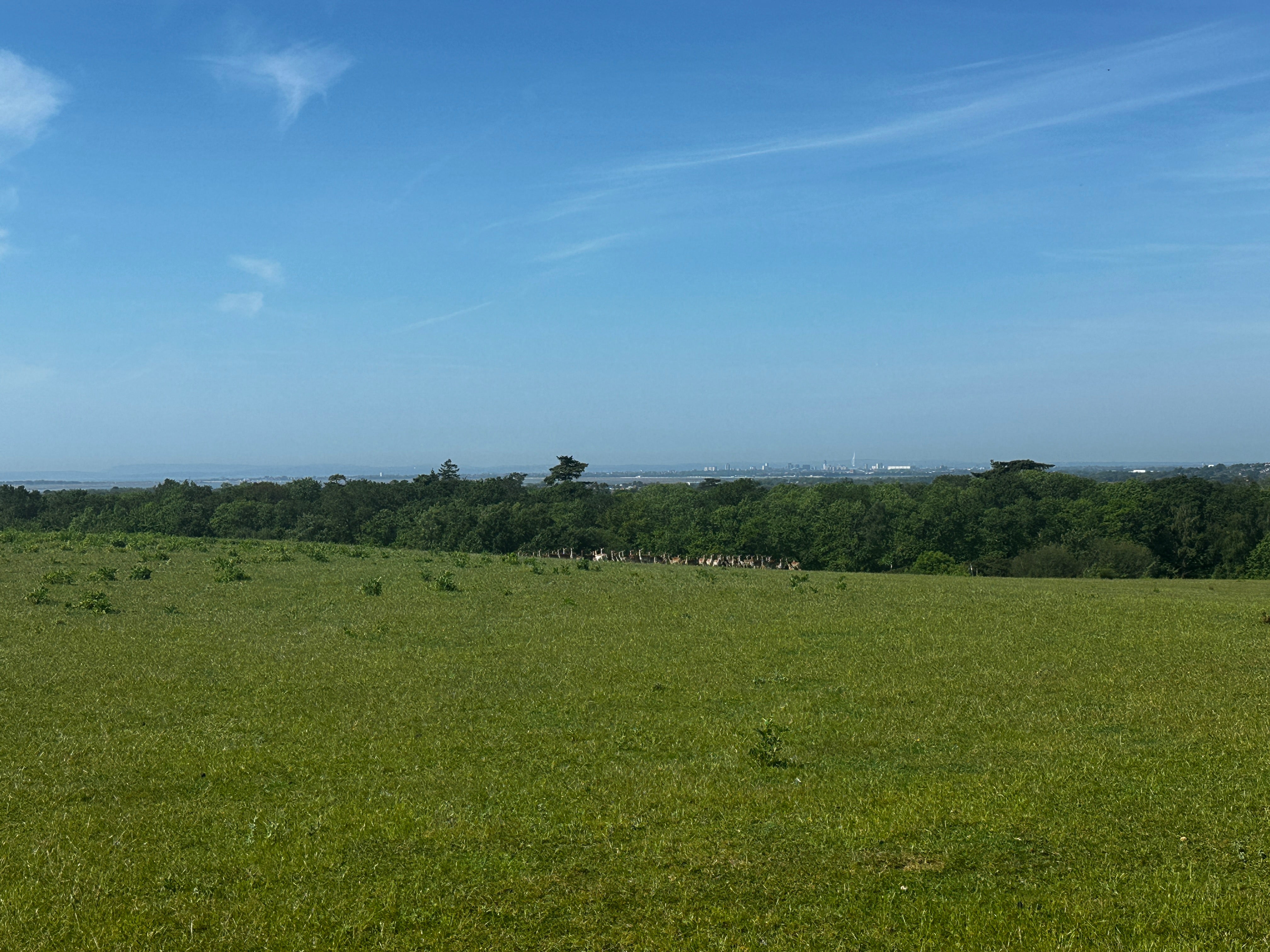 Landscape-Scale Deer Management Is Easy to Say. Delivering It Is Something Else Entirely.