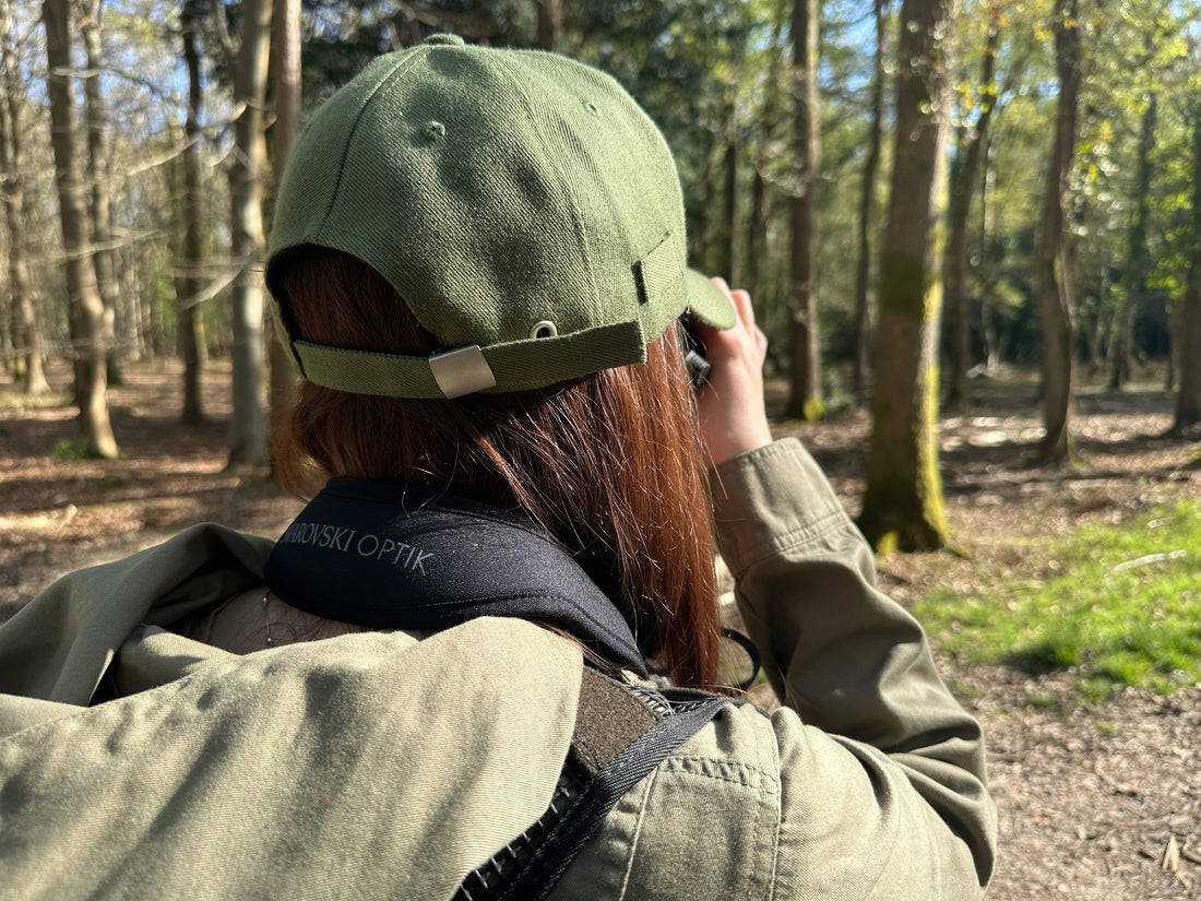 Using Woodland Grants to Deliver Effective Deer Management in the South East