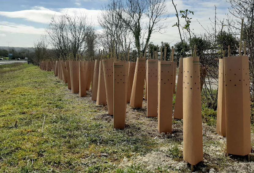 Guarding the Greens: Effective Tree Protection Strategies in Deer ...