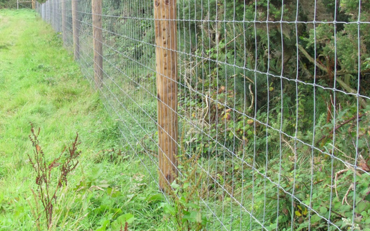 The Balanced Approach to Deer Management: Why Fencing Alone Falls Short