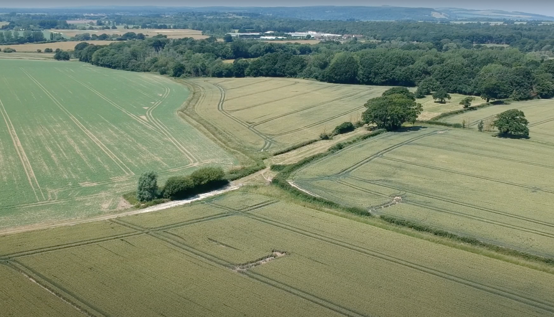 Integrating Drone Technology in Deer Management