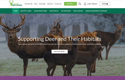 Collaboration, Adaptation, and the Future of Deer Management