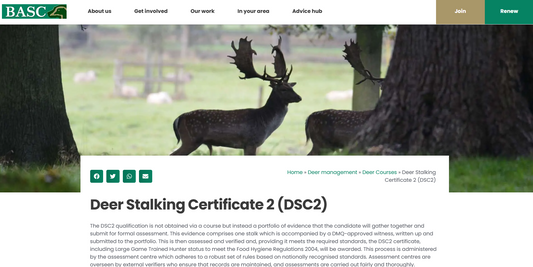 DSC Level 2: Worth It, When You’ve Already Been Doing the Work for Years?