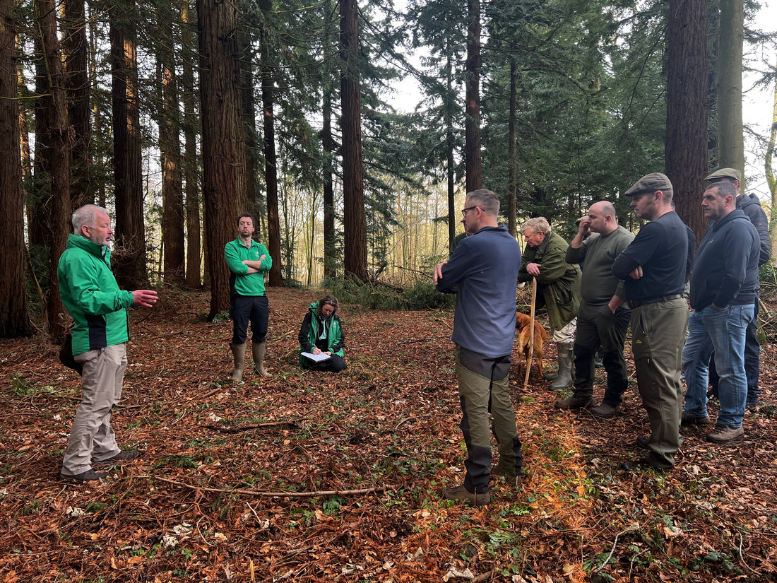 Insights from the Heart of British Forestry