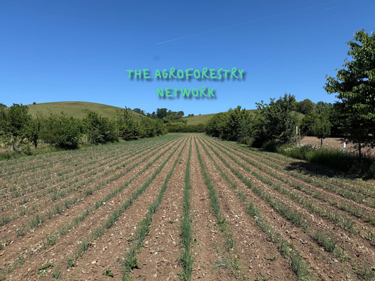 From Fencing to Forage: Deer Management in New Agroforestry Systems