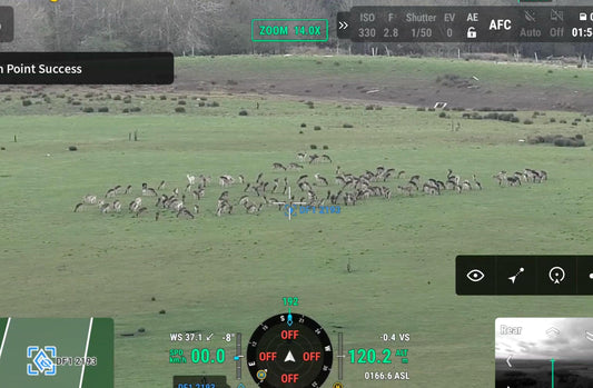 Deer Behaviour, Pressure, and Why More Effort Does Not Always Mean Better Results