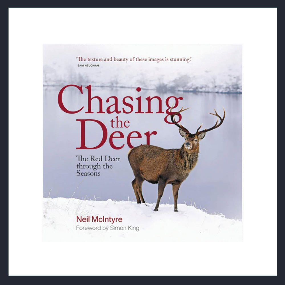 Chasing the Deer: The Red Deer Through the Seasons